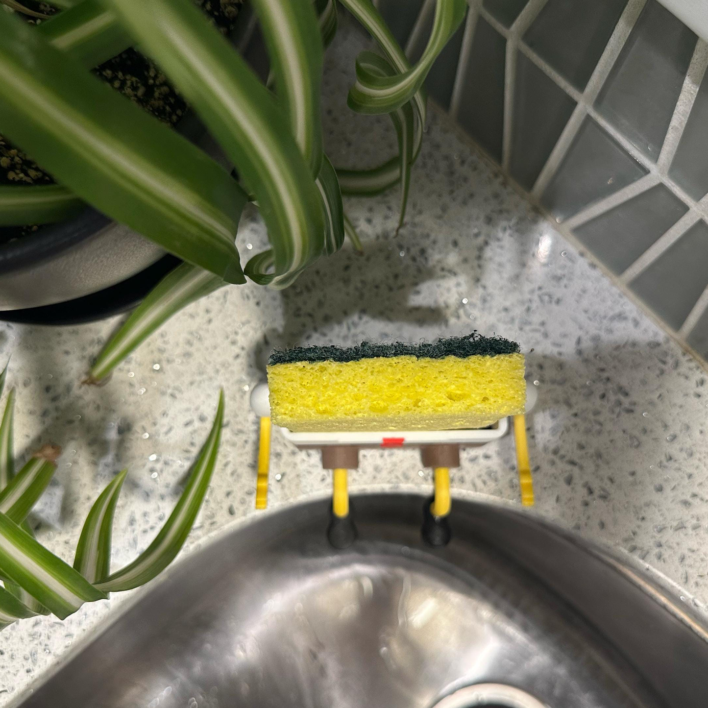 Bob The Sponge Holder
