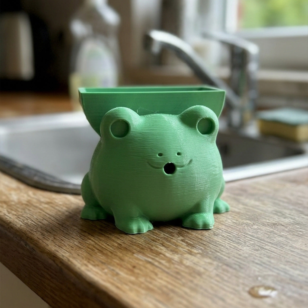 Surprised Frog Sponge Holder