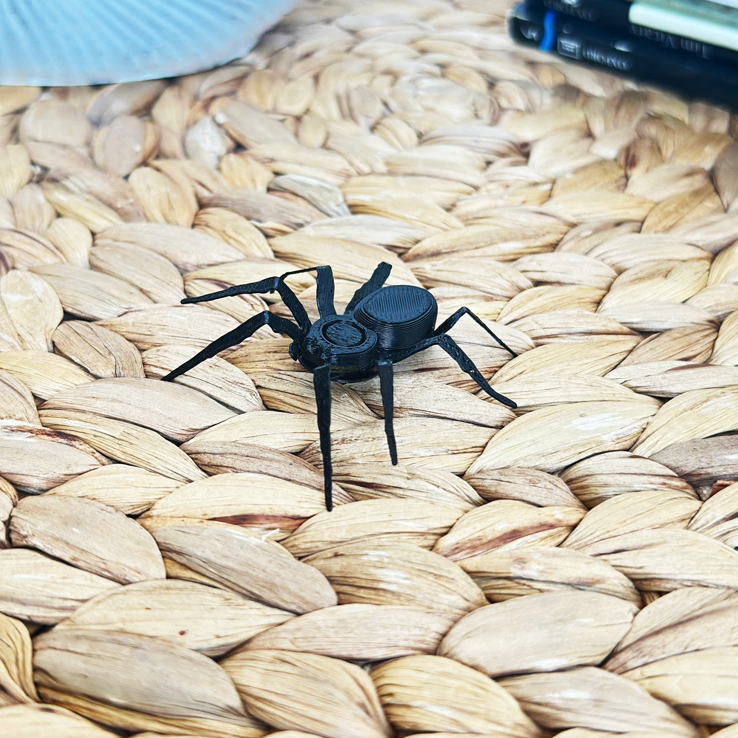 Prank Spider Toilet Paper