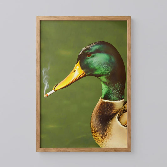 Duck Smoking a Cigarette Print