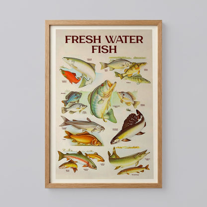 Retro Fresh Water Fish Print