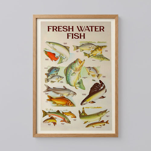 Retro Fresh Water Fish Print