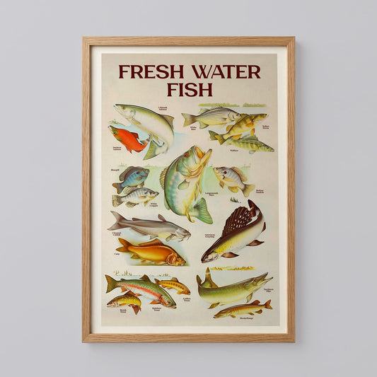 Retro Fresh Water Fish Print