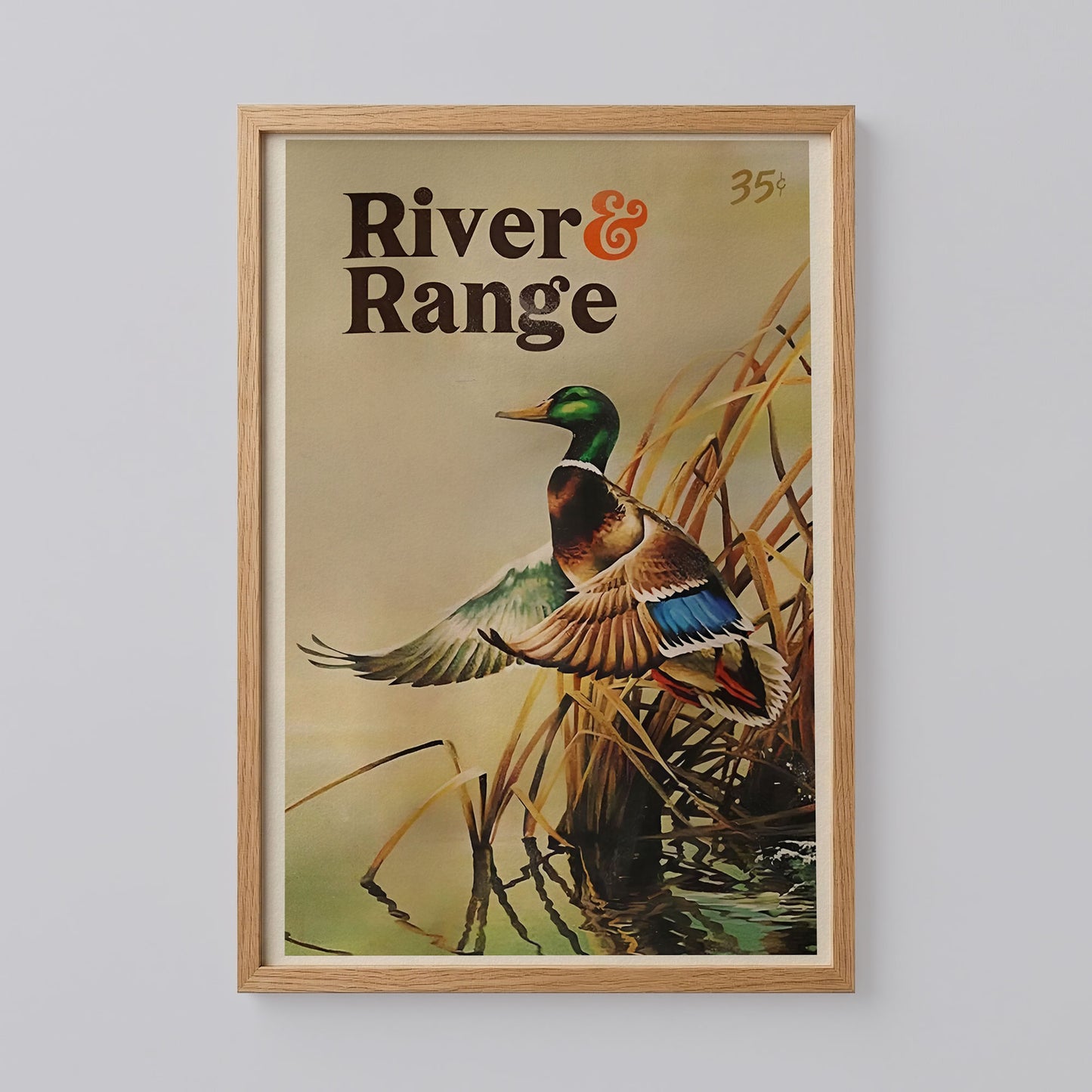 Retro Duck River Ranger Poster