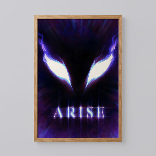 Solo Leveling Arise Poster