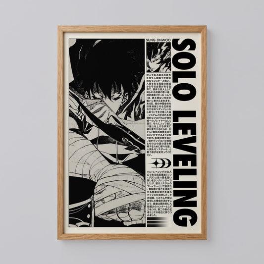 Solo Leveling Jinwoo Manga Wall Art
