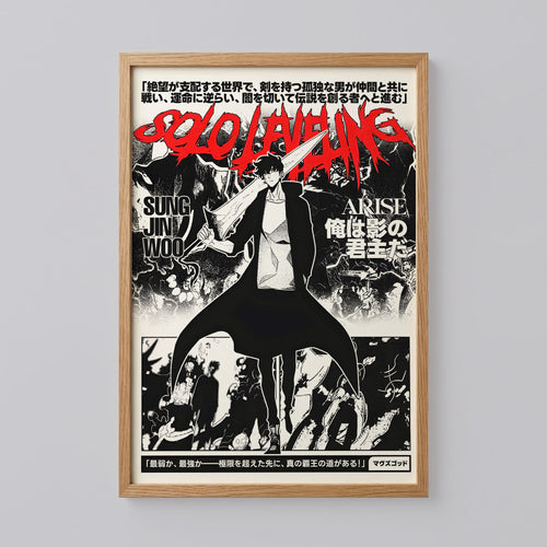 Sung Jin Woo Manga Solo Leveling Poster