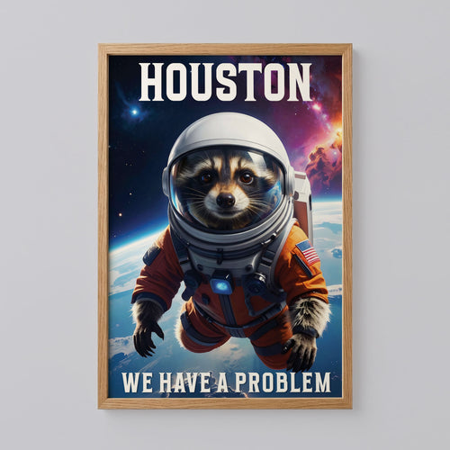 Funny Space Racoon Houston Problems Poster