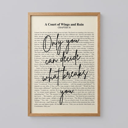 Court of Wings and Ruin Poster