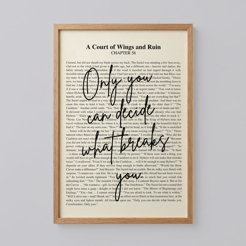 Court of Wings and Ruin Poster