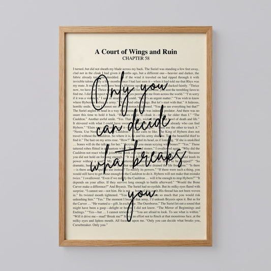 Court of Wings and Ruin Poster