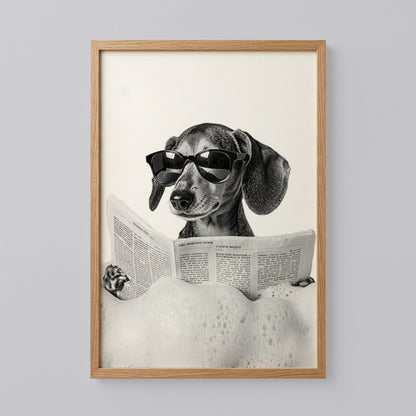 Dachshund Poster