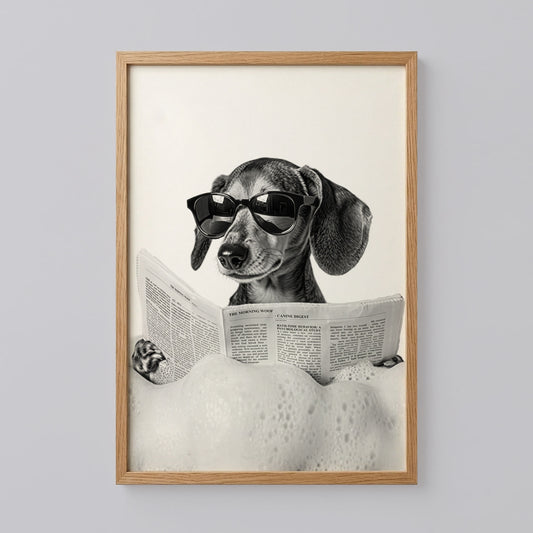 Dachshund Poster