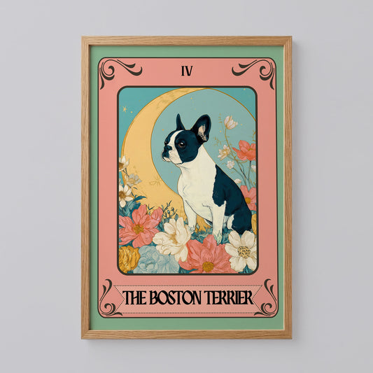 The Boston Terrier Dog Card Poster