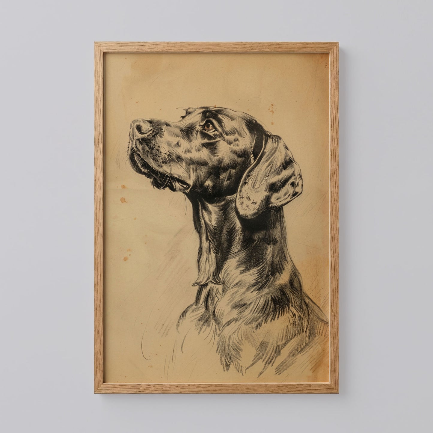 Hunting Dog Sketch Print