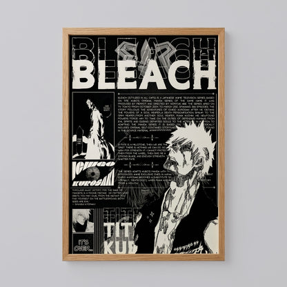 Bleach Anime Poster