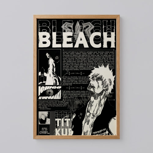 Bleach Anime Poster