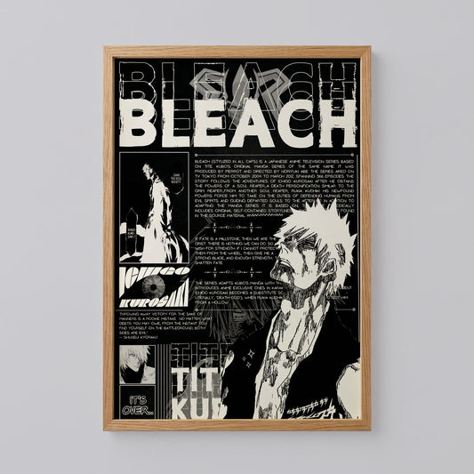 Bleach Anime Poster