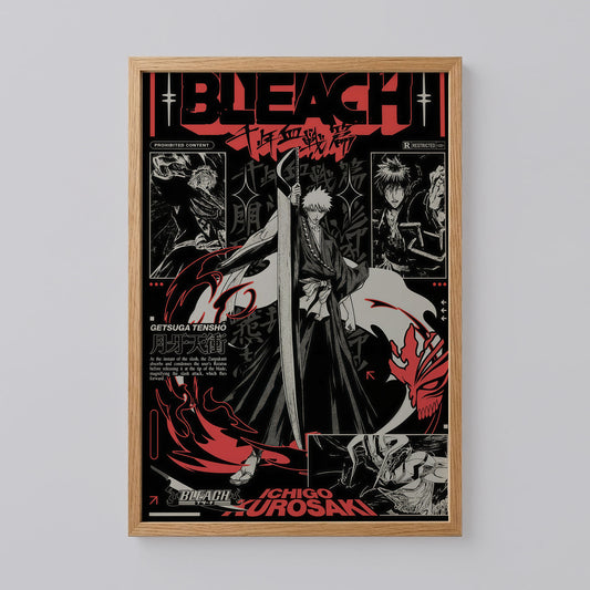 Bleach Manga Wall Art