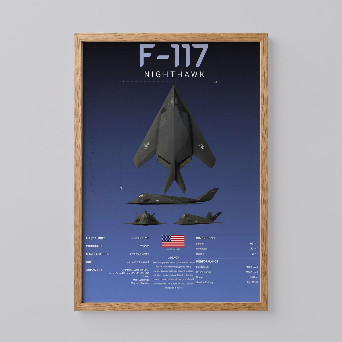 F-117 Nighthawk Art Print
