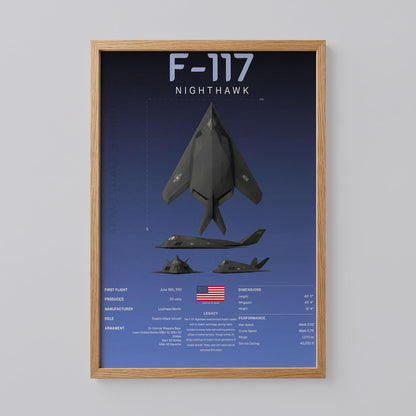 F-117 Nighthawk Art Print