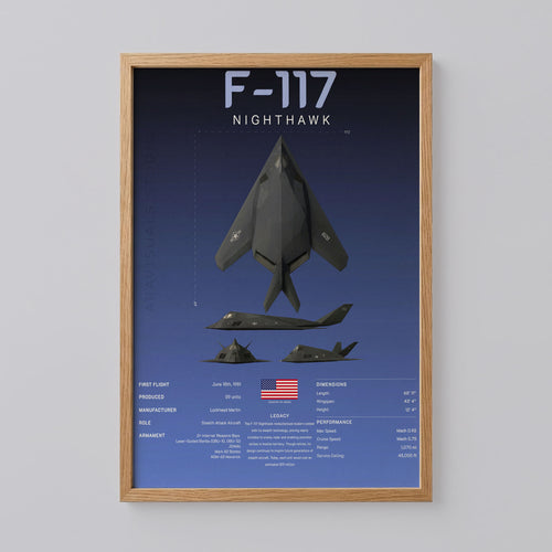 F-117 Nighthawk Art Print