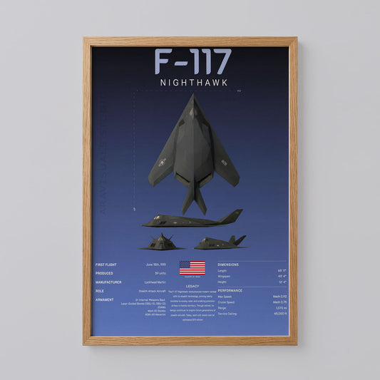 F-117 Nighthawk Art Print