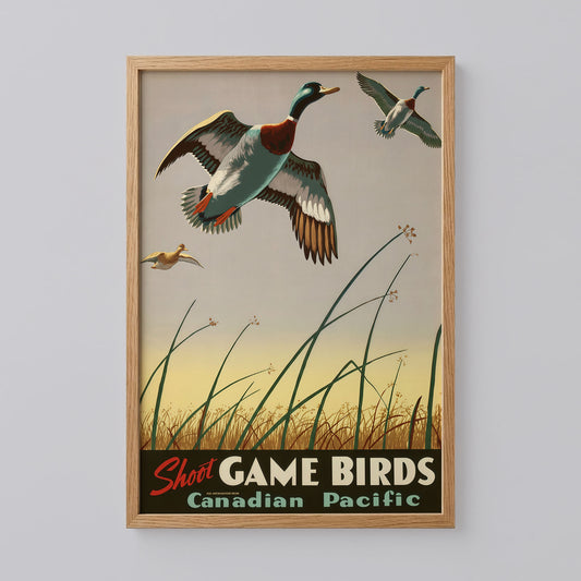 Shoot Game Birds Poster