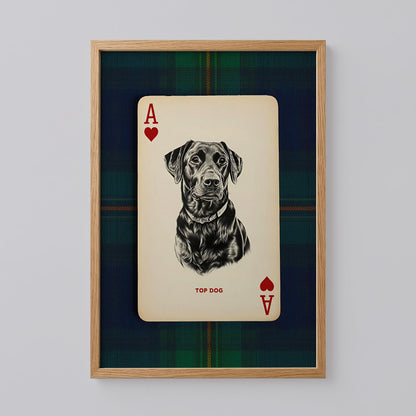 Black Lab Dog Portrait Poster