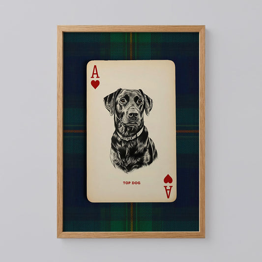 Black Lab Dog Portrait Poster