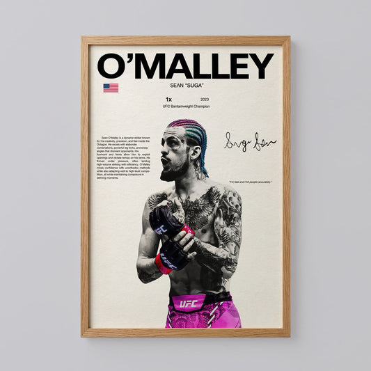 O' Malley UFC Poster