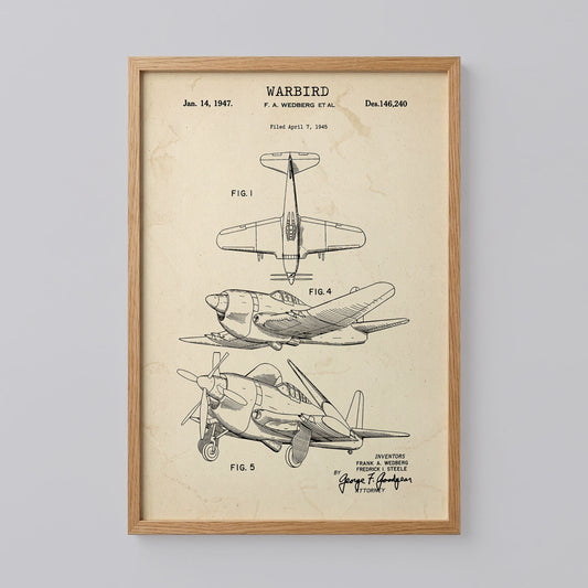 Vintage Biplane Wall Decor