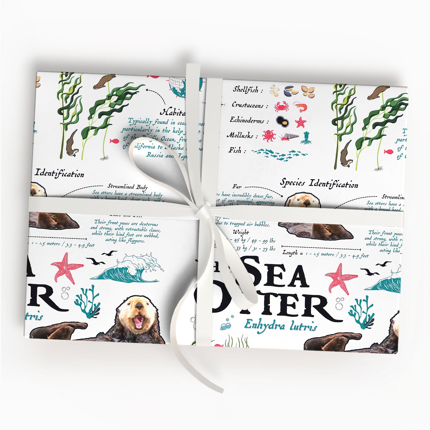 Monterey Bay Aquarium Otter Wrapping Paper Vintage Paper