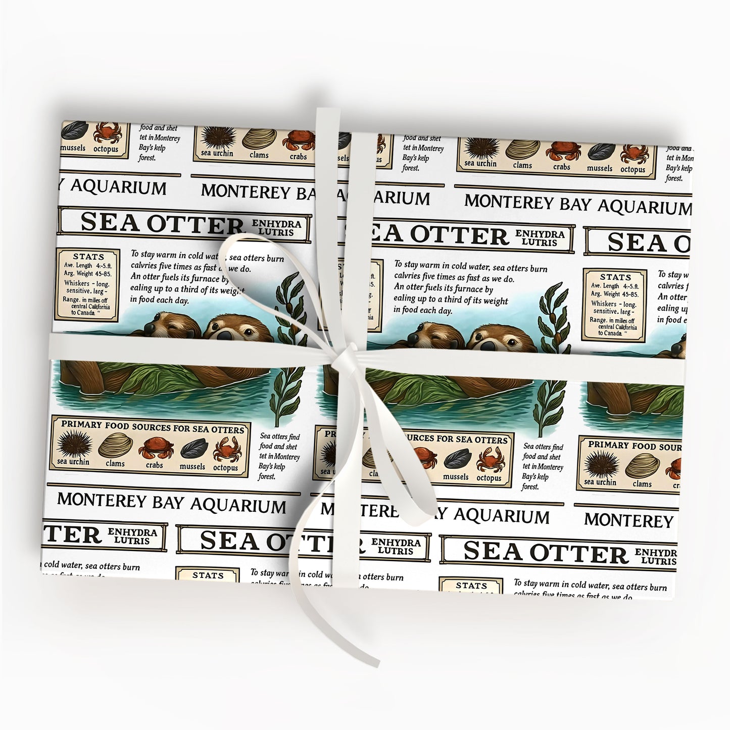Sea Otter Wrapping Paper Cute Ocean Animal Gift Wrap