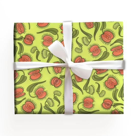Hilarious Adult Xmas Wrapping Paper Roll