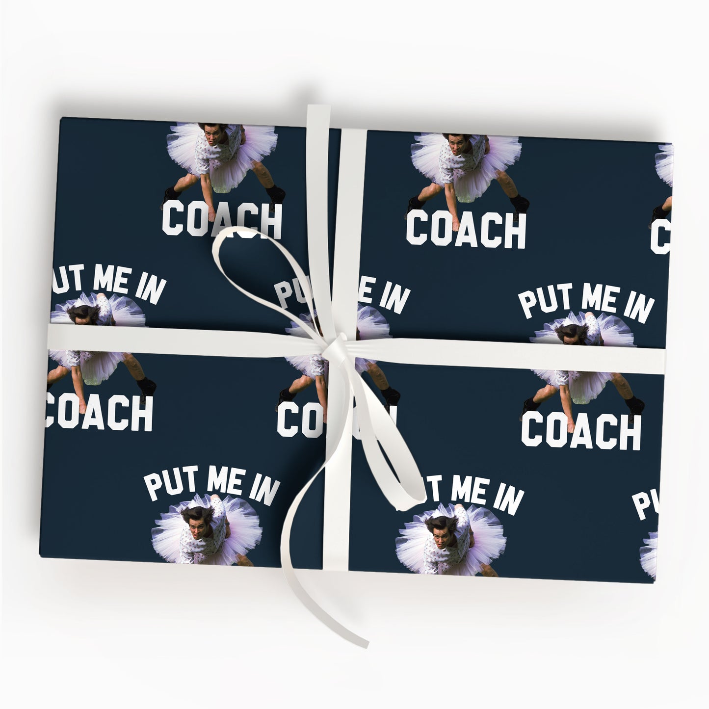 Put Me In Coach Wrapping Paper Baseball Gift Wrap