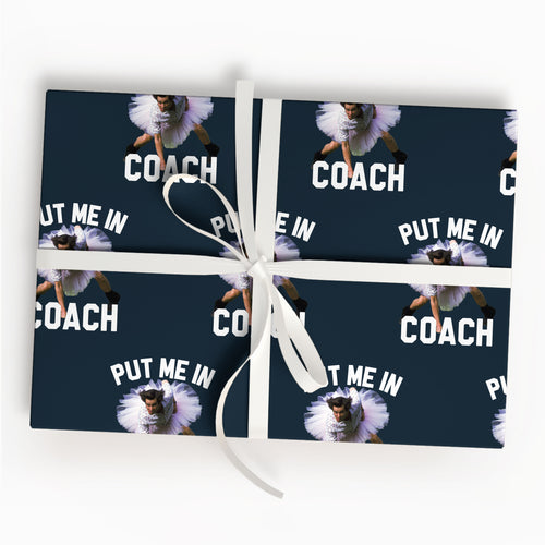 Put Me In Coach Wrapping Paper Baseball Gift Wrap