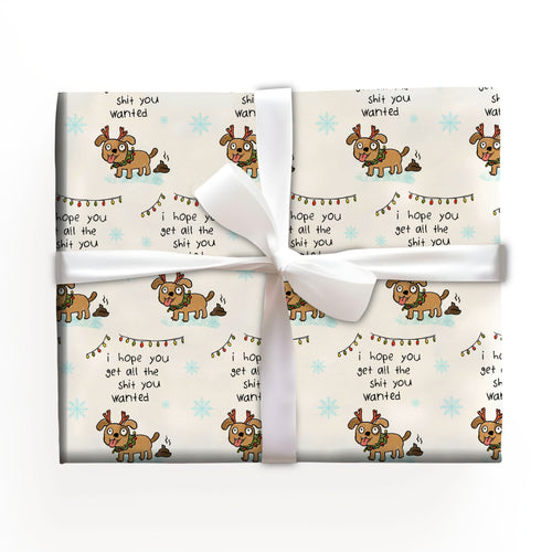 I Hope You Get All The Shit You Wanted Gift Wrap