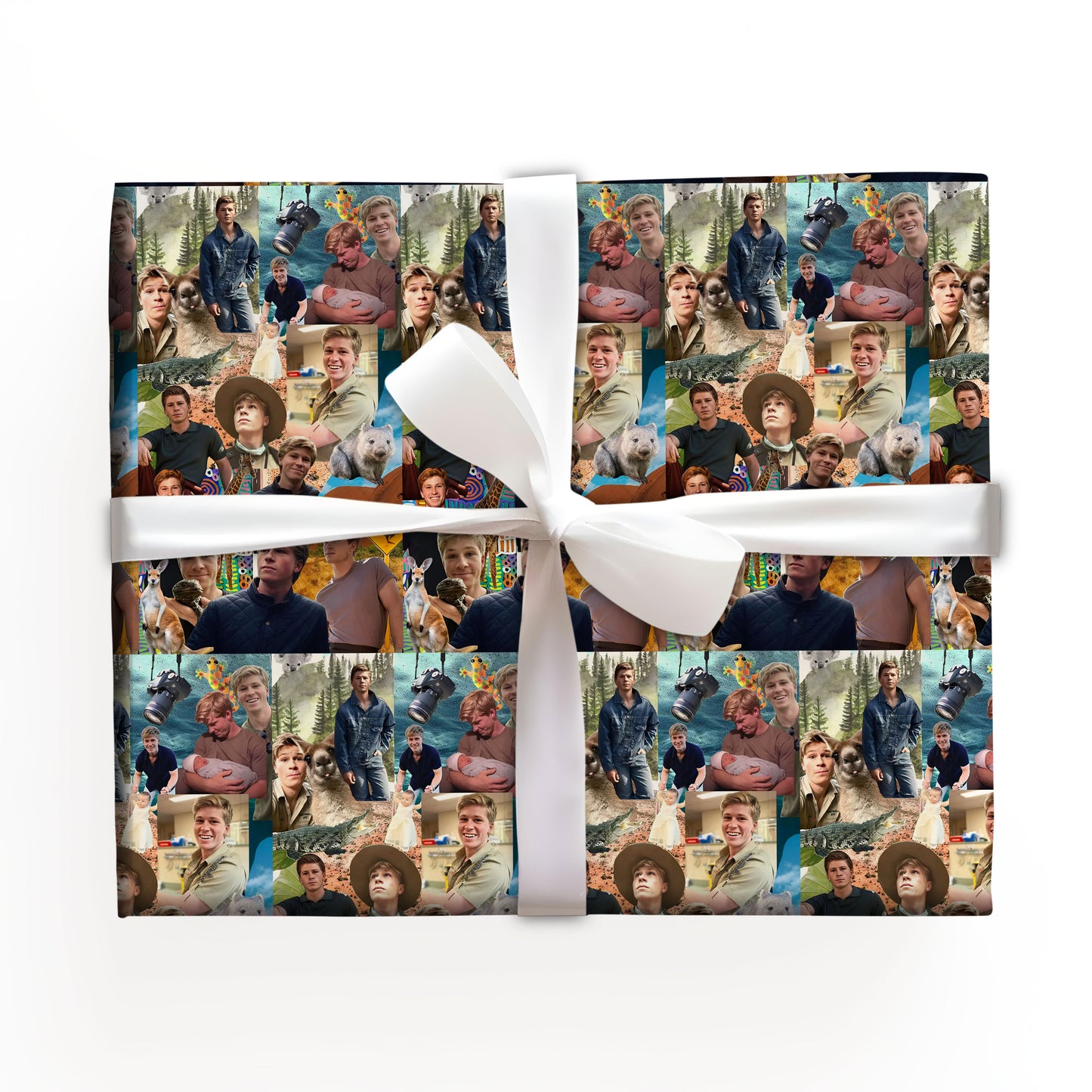 Robert Irwin Christmas Wrapping Paper