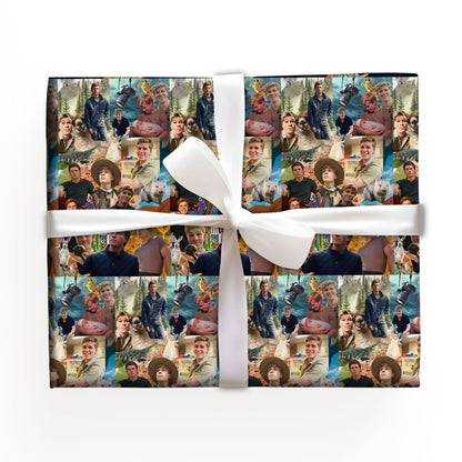 Robert Irwin Christmas Wrapping Paper