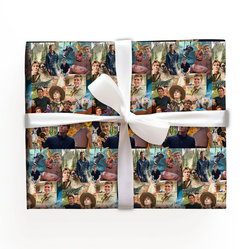 Robert Irwin Christmas Wrapping Paper