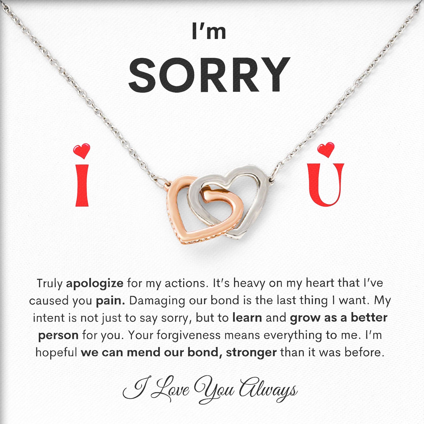 I'm Sorry Necklace For Her, Apology Necklaces, Forgive Me Gifts, I'm Sorry For Hurting You Neckace, Valentine, Birthday Gift