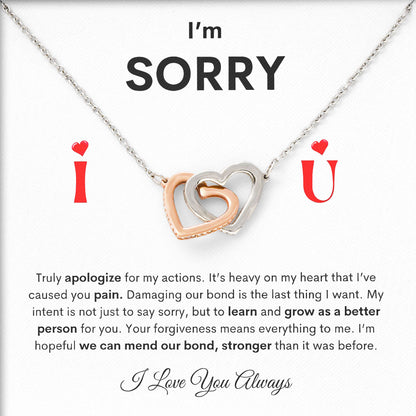I'm Sorry Necklace For Her, Apology Necklaces, Forgive Me Gifts, I'm Sorry For Hurting You Neckace, Valentine, Birthday Gift
