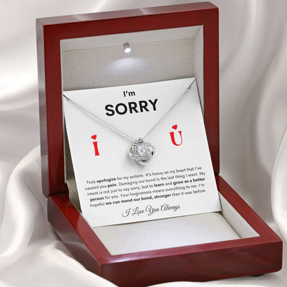 I'm Sorry Necklace For Her, Apology Necklaces, Forgive Me Gifts, I'm Sorry For Hurting You Neckace, Valentine, Birthday Gift