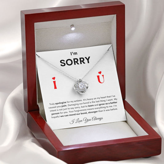 I'm Sorry Necklace For Her, Apology Necklaces, Forgive Me Gifts, I'm Sorry For Hurting You Neckace, Valentine, Birthday Gift