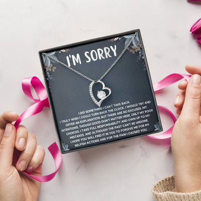 I'm Sorry For Hurting You Neckace, Forgive Me Gifts, Valentine, Birthday, Anniversary Gift, Apologize Gifts