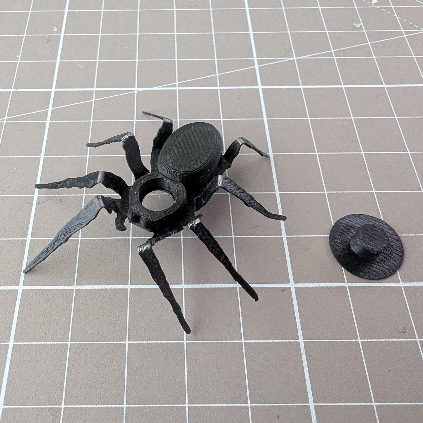 Prank Spider Toilet Paper