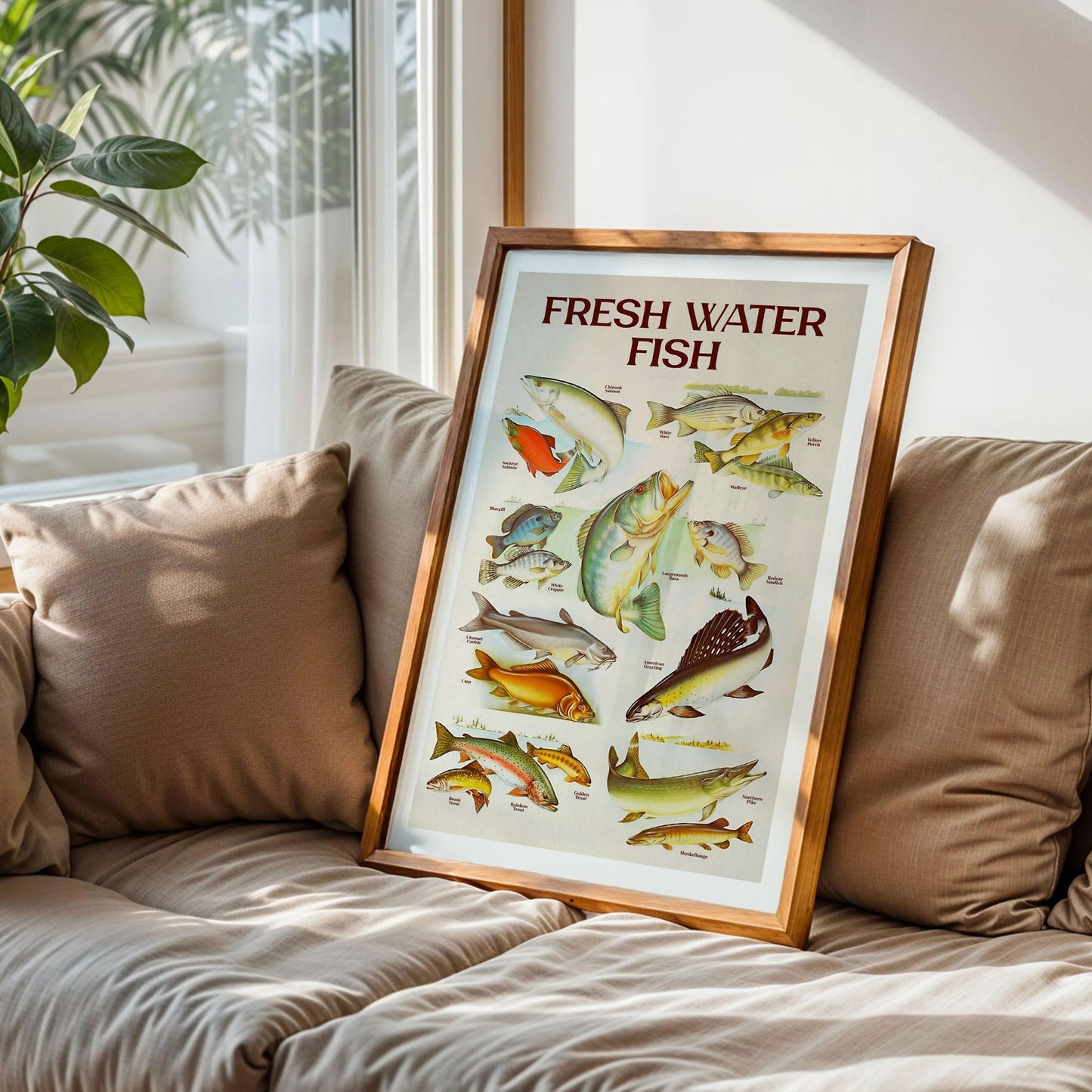 Retro Fresh Water Fish Print