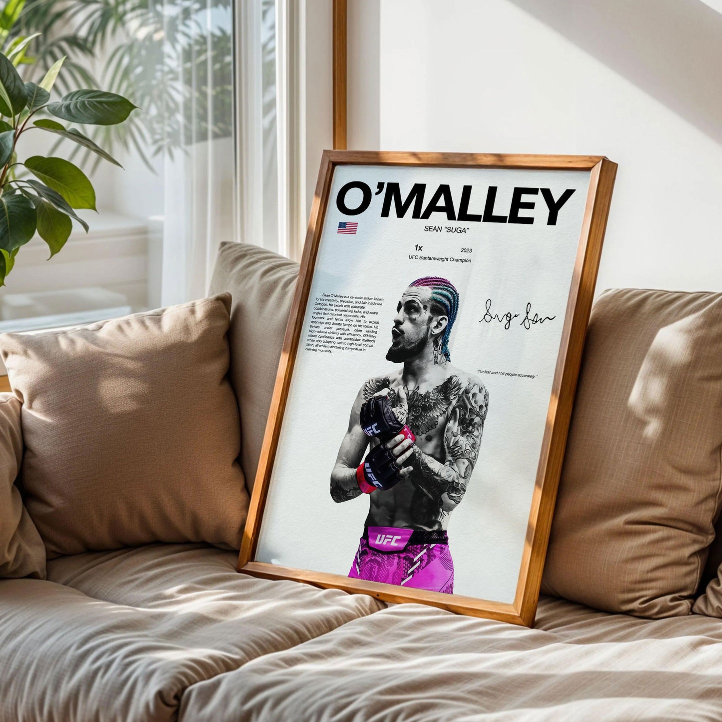 O' Malley UFC Poster