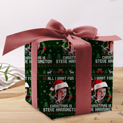 Joseph David Keery Wrapping Paper